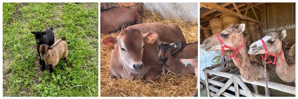 banni%C3%A8re%20web%20soldes%20collectio