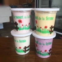 Yaourt aux fruits x 4
