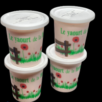 Yaourt brebis Fraise x 4