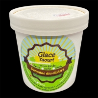 Glace au Yaourt 350 ml