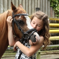 Poney Dimanche 15h00
