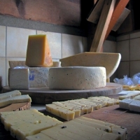 Atelier Fromage Samedi 15h00
